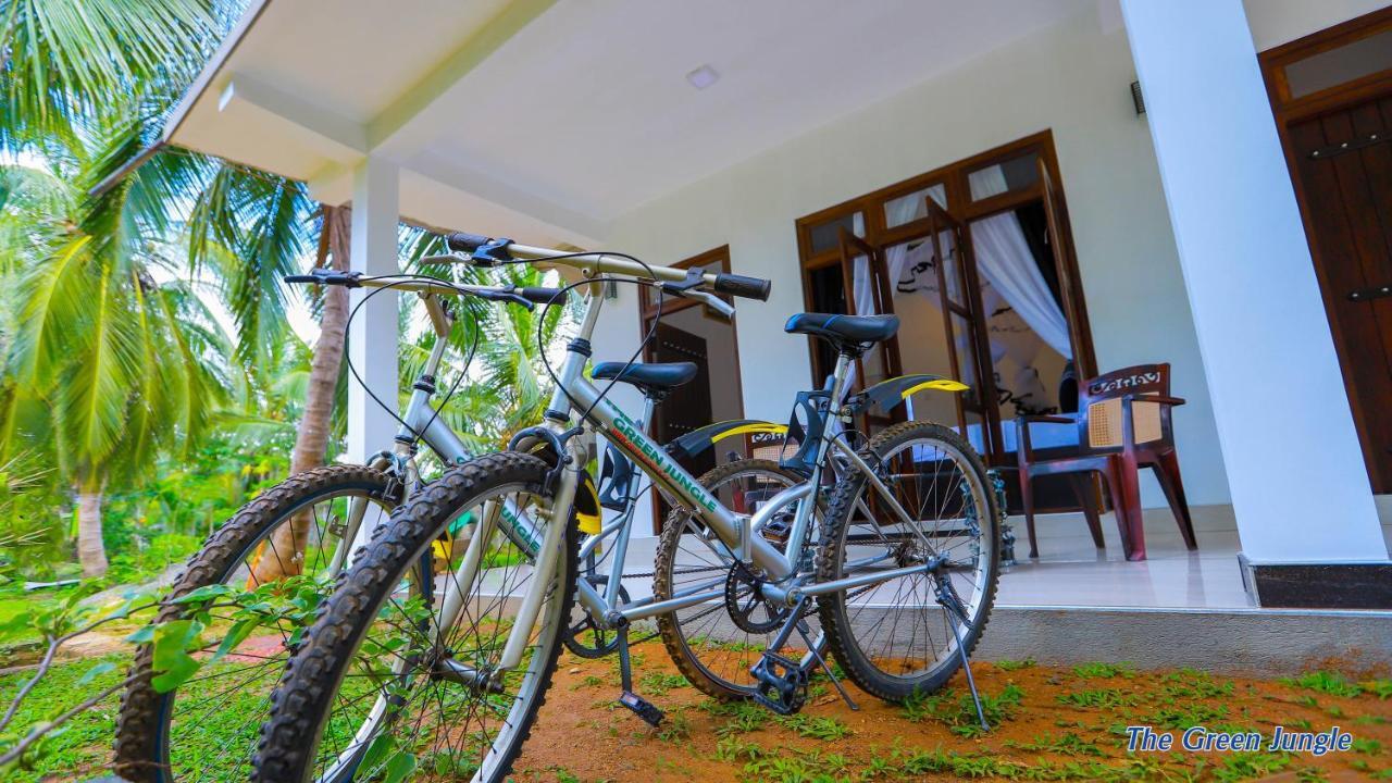 The Green Jungle ดัมบูลลา ภายนอก รูปภาพ