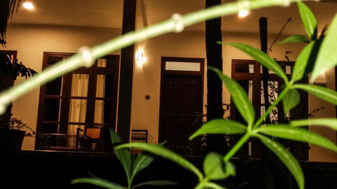The Green Jungle ดัมบูลลา ภายนอก รูปภาพ